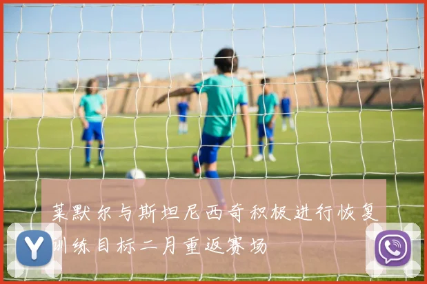 莱默尔与斯坦尼西奇积极进行恢复训练目标二月重返赛场
