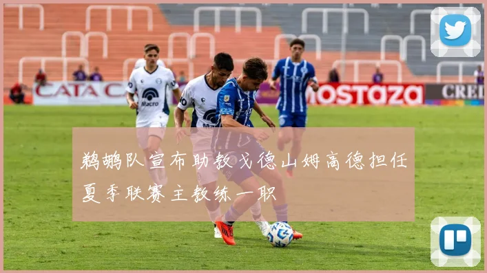 鹈鹕队宣布助教戈德山姆高德担任夏季联赛主教练一职