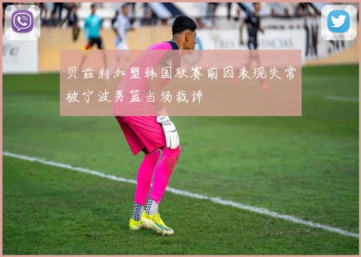 贝兹利加盟韩国联赛前因表现失常被宁波男篮当场裁掉